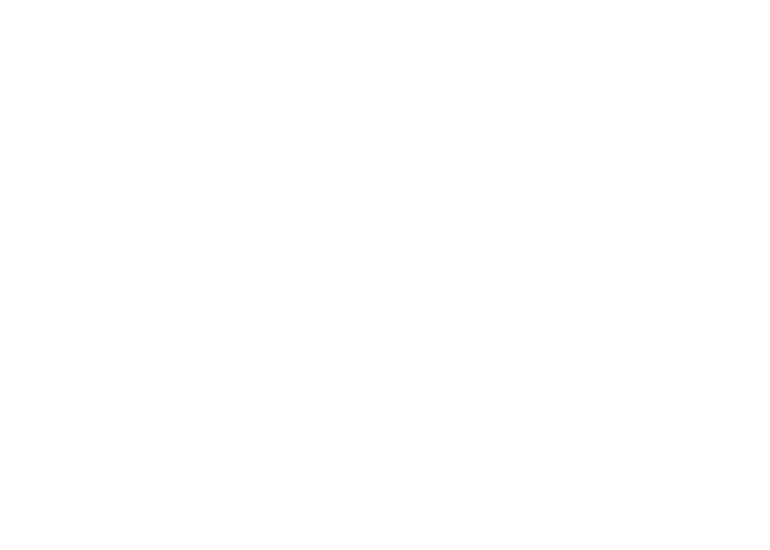 Boras