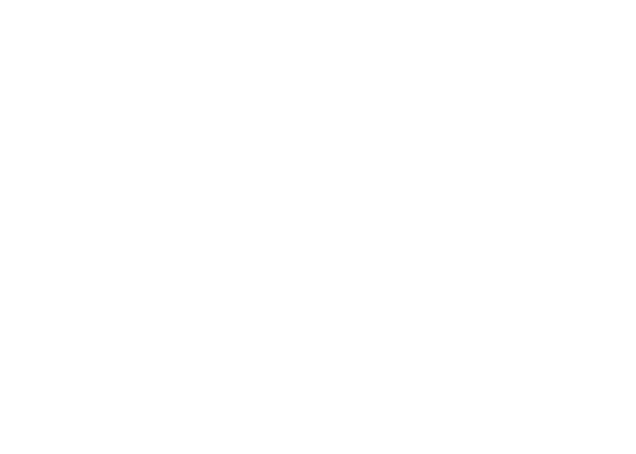 Steamist